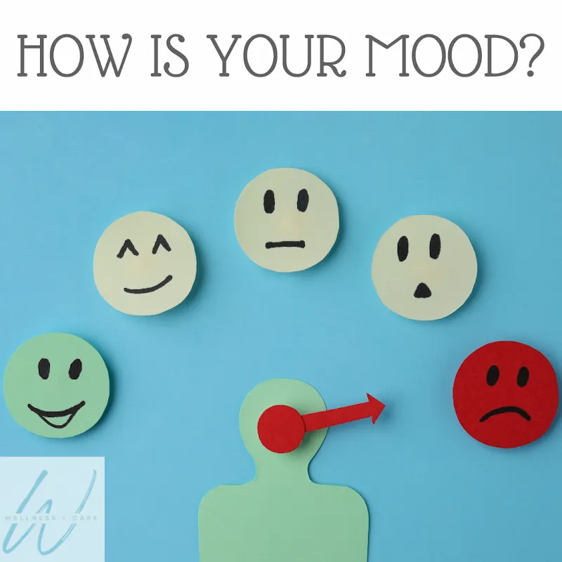 Wellness Plus Care photo 5