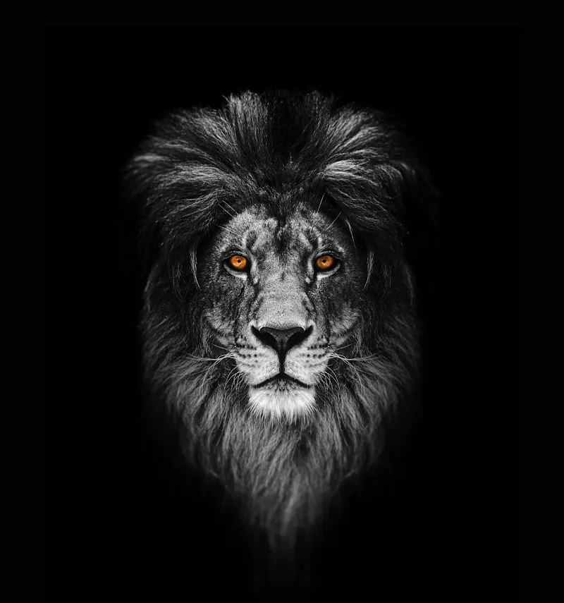 Invictus Men's Clinic photo 1