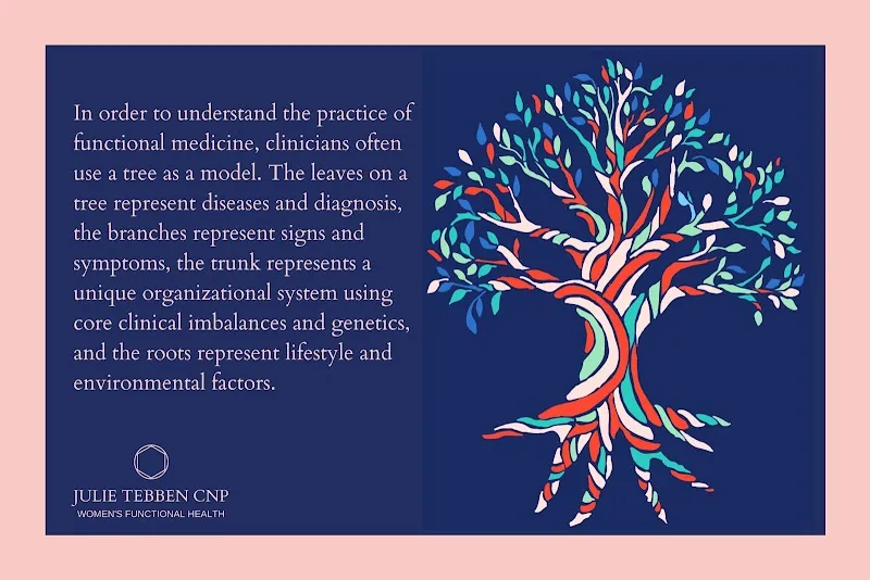 Julie Tebben CNP photo 4