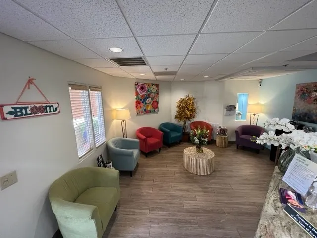 Bloom Wellness Clinics