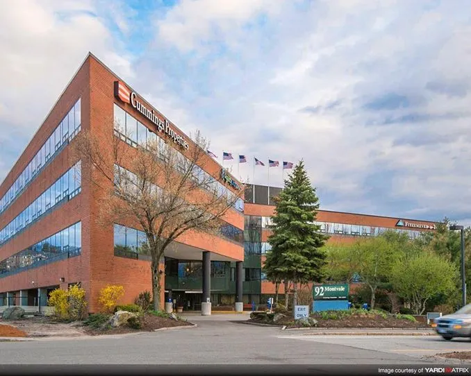 Boston Vitality photo 3