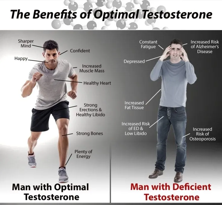 TRT Connecticut photo 6