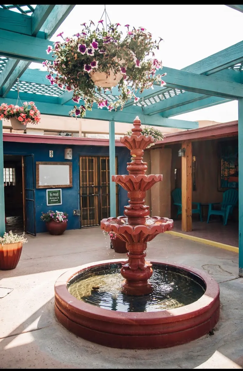 The B-Well Project photo 5