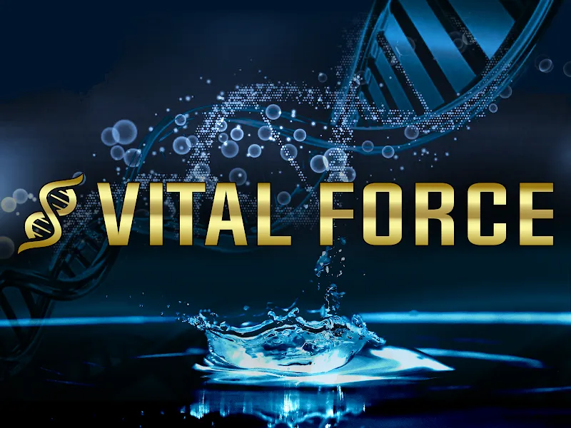 Vital Force Therapy and Wellness