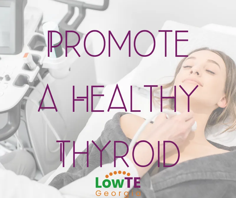 LowTE Georgia photo 3