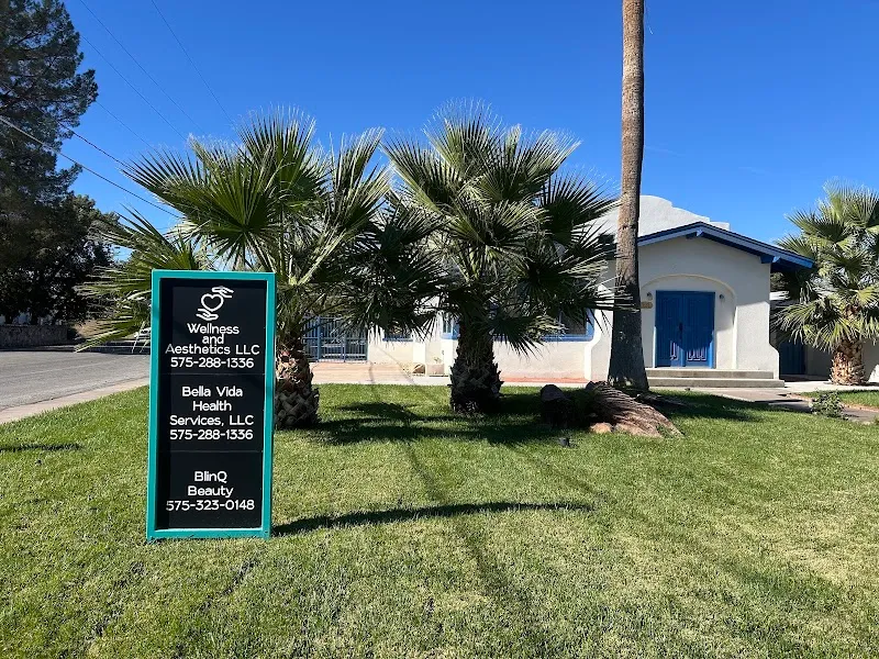 Wellness and Aesthetics, LLC