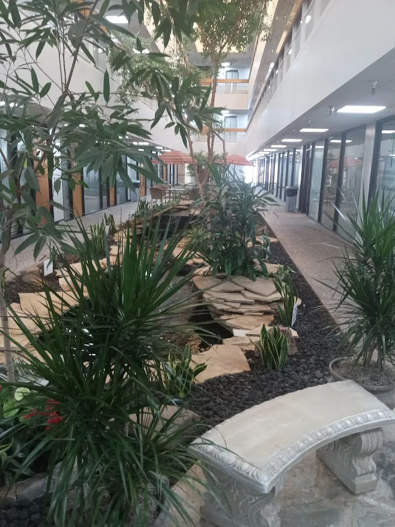 Men's Wellness Of Oklahoma photo 1