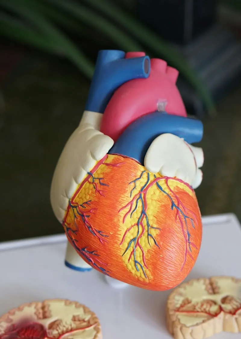 Cascades Hormone Optimization (formally Male TRT Center) photo 6