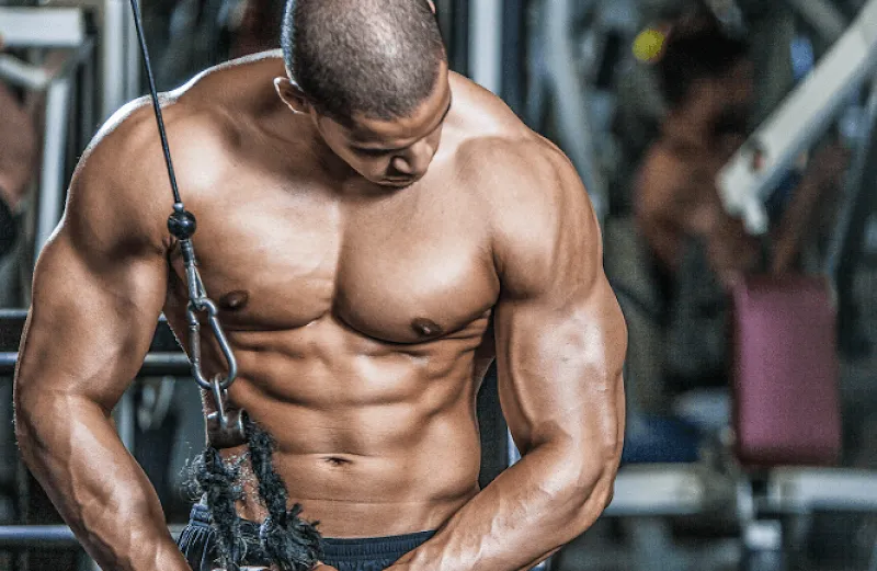 Endless Vitality photo 6