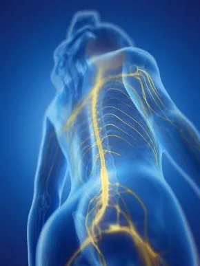 Meridian Health & Wellness photo 5