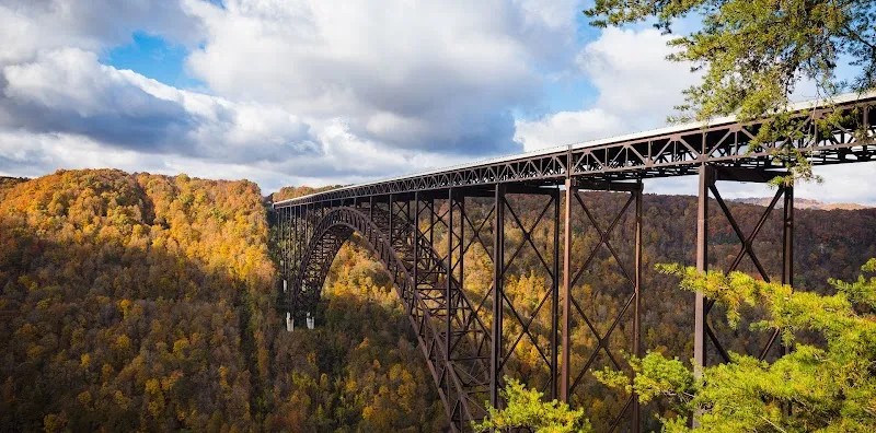 Cenegenics North Carolina photo 3