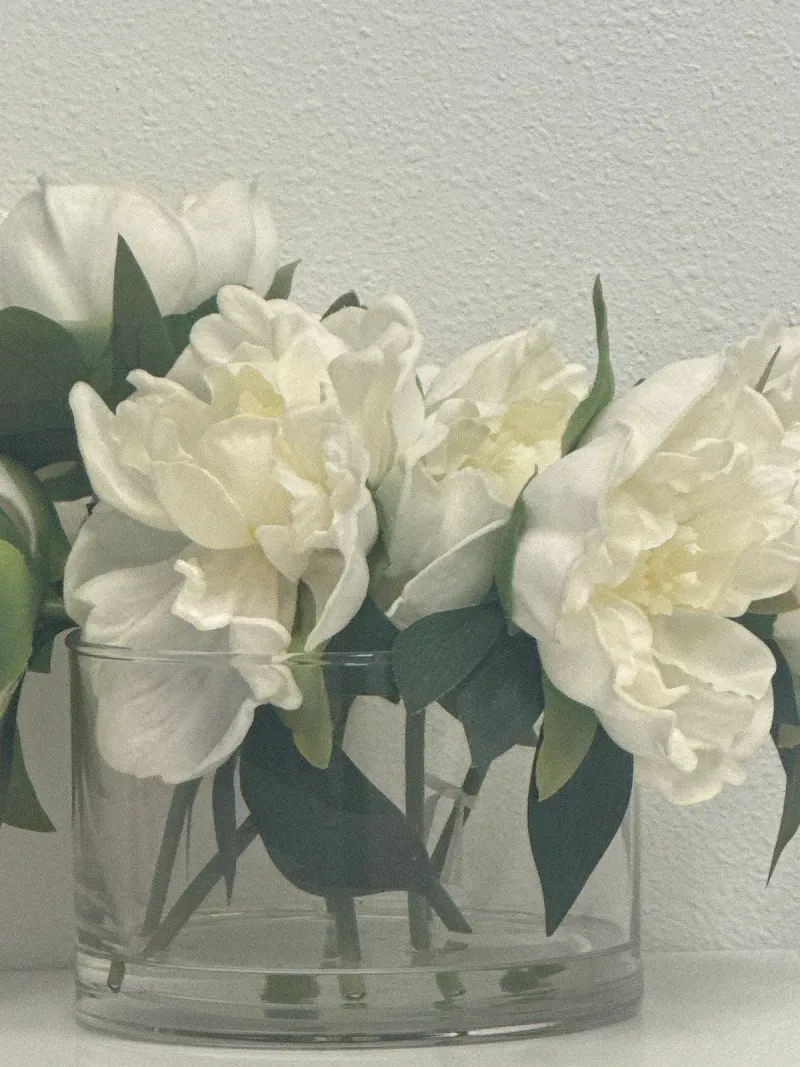 Trillion Health and Hormone Clinic photo 1