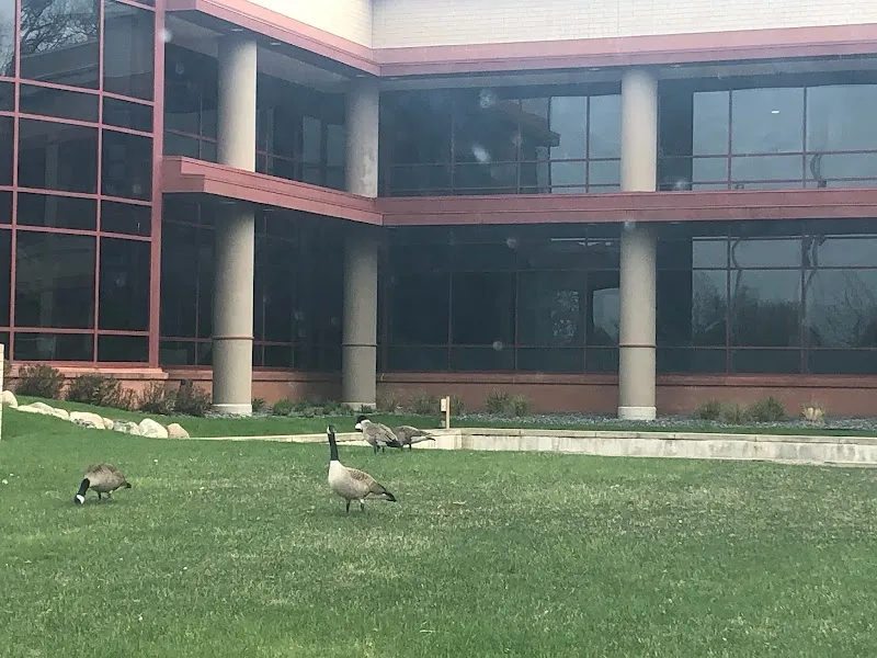 MedStudio Private Medical Clinics photo 4