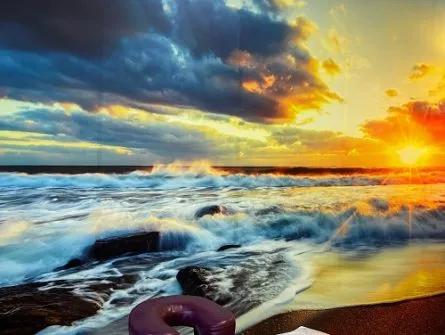 Sizar Wellness photo 4